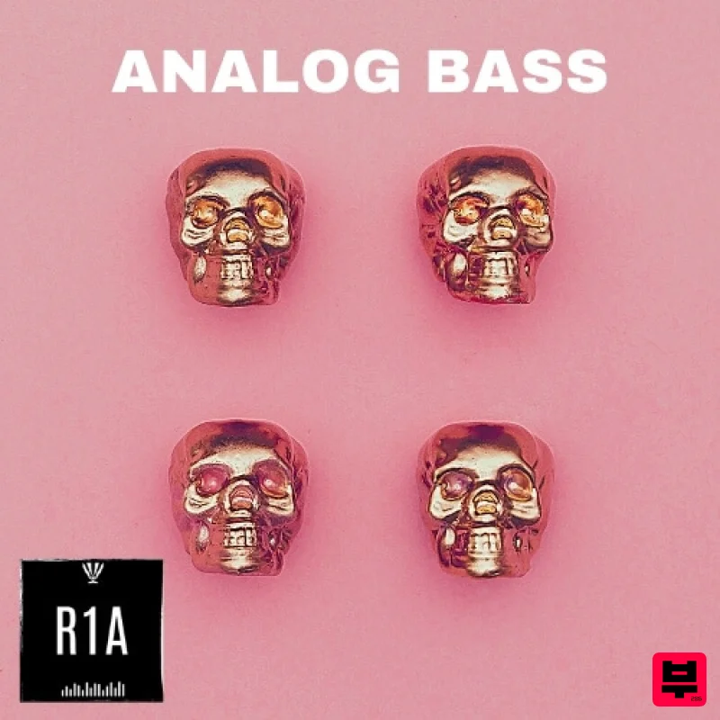 Room One Audio Analog Bass - Analog