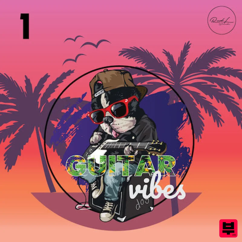 Roundel Sounds Guitar Vibes Vol 1 - Professional Music Instrument Photo