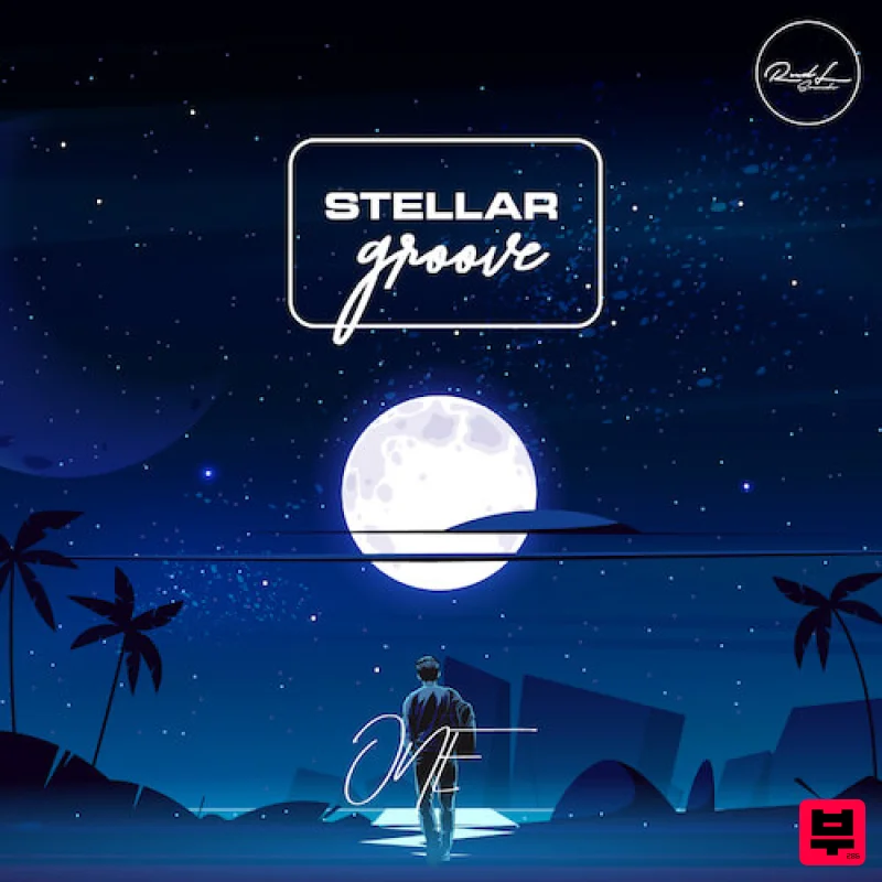 Roundel Sounds Stellar Groove One - Professional Music Instrument Photo