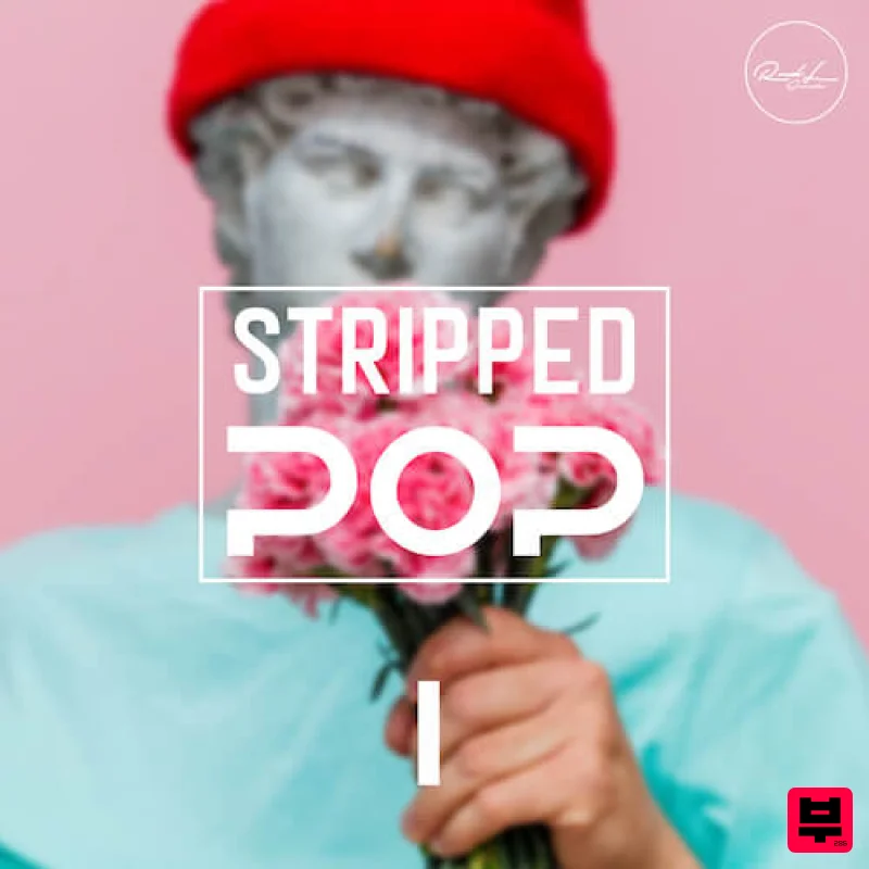 Roundel Sounds Stripped Pop Vol 1 - Professional Music Instrument Photo