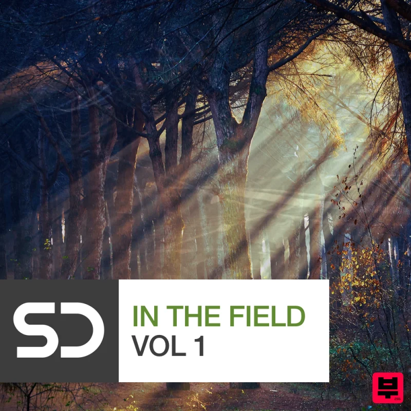 Sample Diggers In The Field Vol 1 - Cinematic