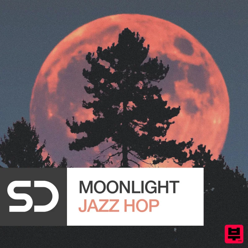 Sample Diggers Moonlight Jazz Hop - Hip Hop