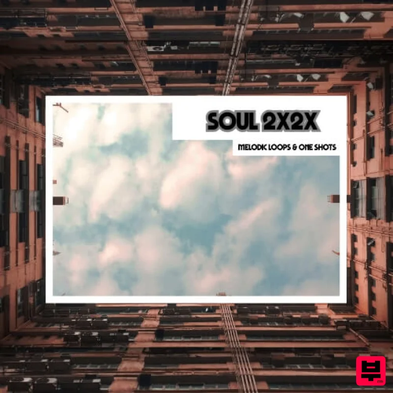 Sample Fox 2X2X - Soul - Soul