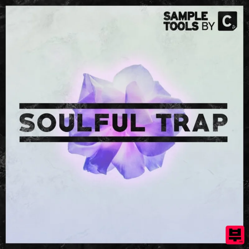 Sample Tools by Cr2 Soulful Trap - Professional Music Instrument Photo