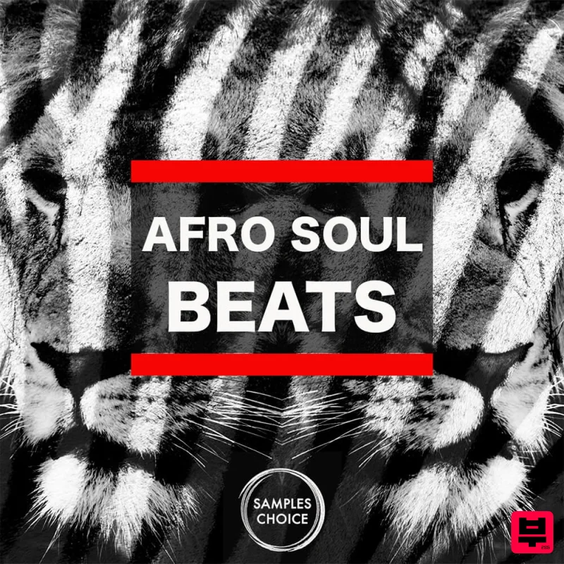Samples Choice Afro Soul Beats - Professional Music Instrument Photo