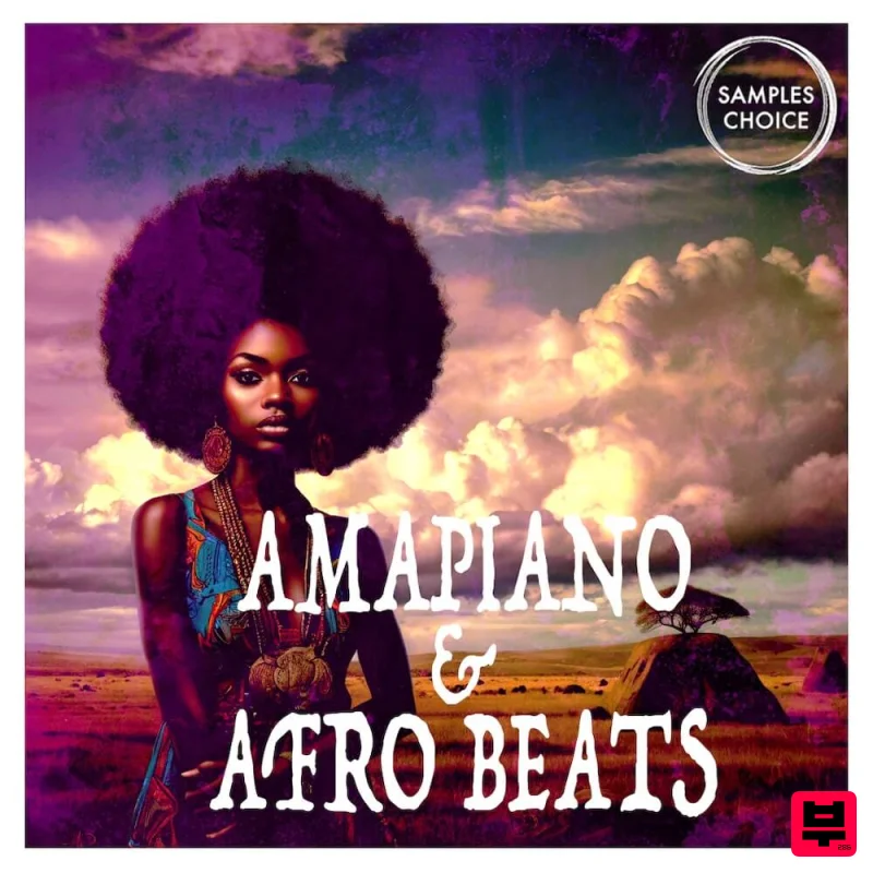 Samples Choice Amapiano & Afro Beats - Professional Music Instrument Photo