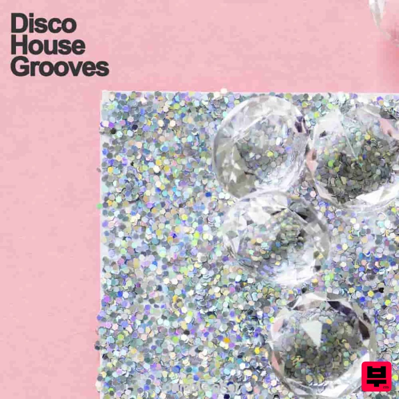 Samplestar Disco House Grooves - Nu Disco