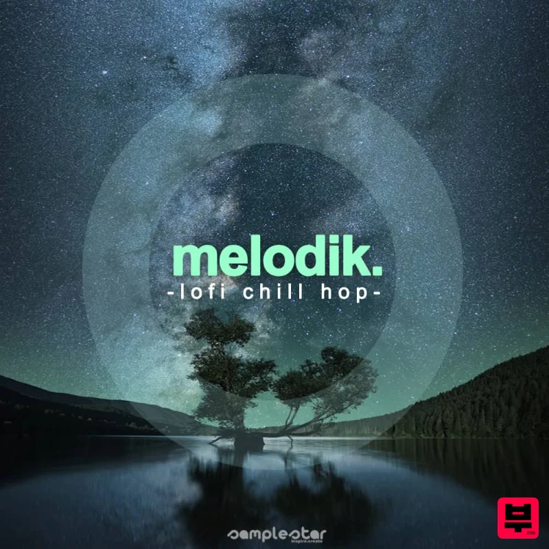 Samplestar Melodik Lofi Chill Hop - Professional Music Instrument Photo
