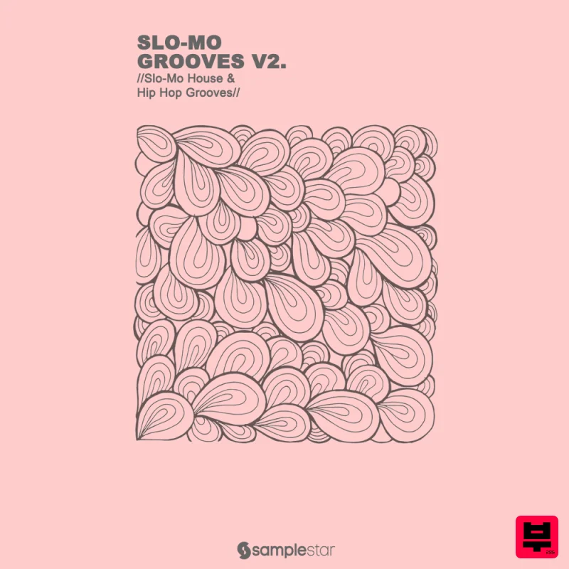 Samplestar Slo-Mo Grooves V2 - Electronica