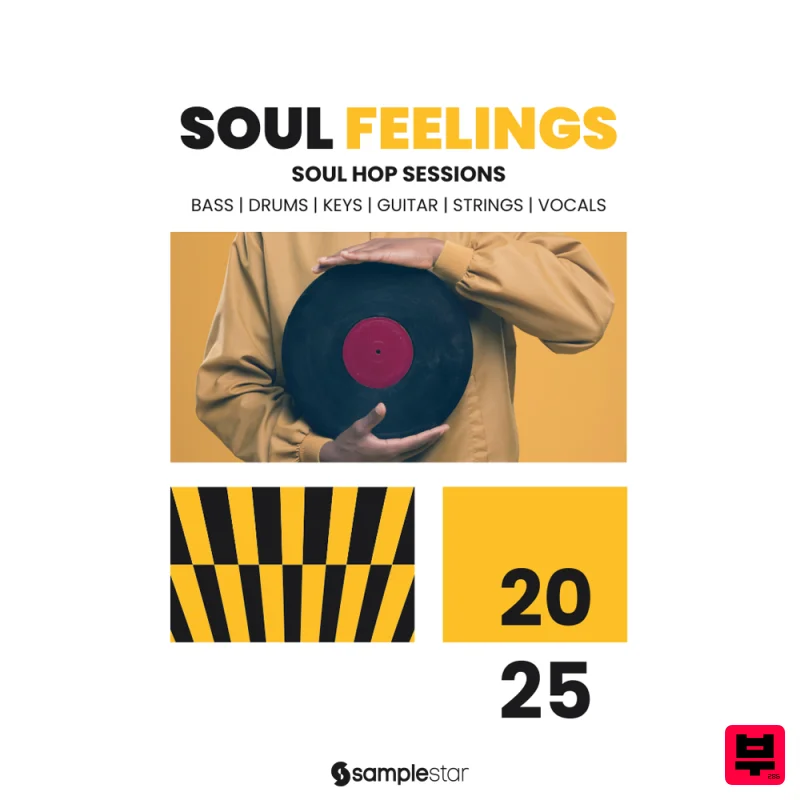 Samplestar Soul Feelings - Soul