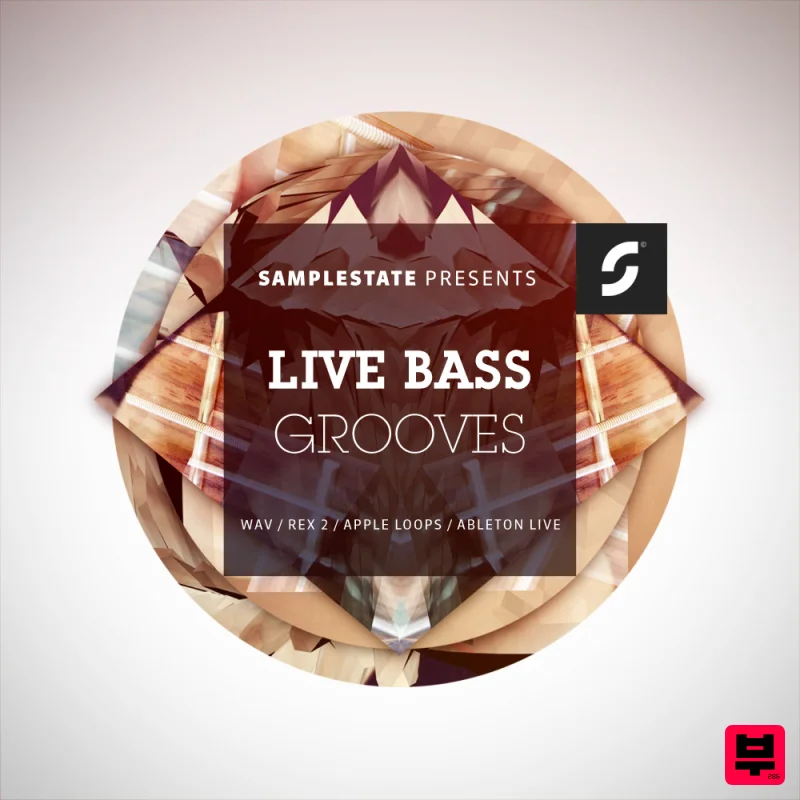 Samplestate Live Bass Grooves - Professional Music Instrument Photo