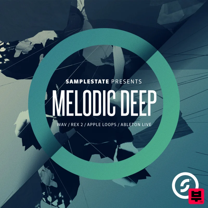 Samplestate Melodic Deep - Professional Music Instrument Photo