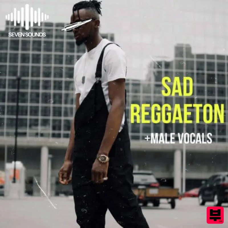 Seven Sounds Sad Reggaeton - Professional Music Instrument Photo