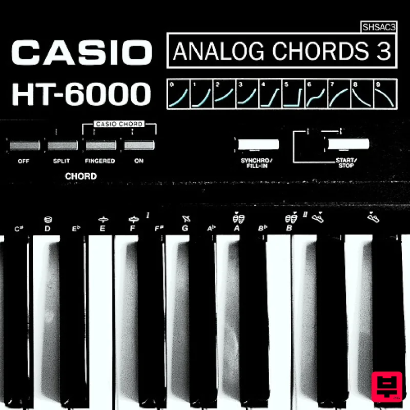 ShamanStems Analog Chords 3 - Casio HT-6000 - House