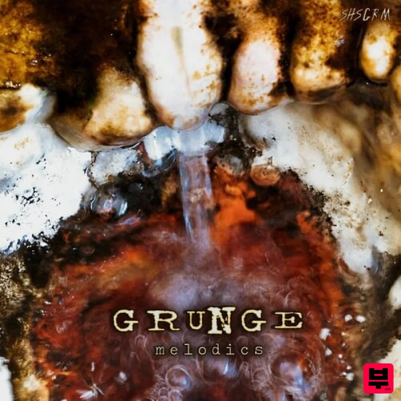 ShamanStems Grunge Melodics - Rock