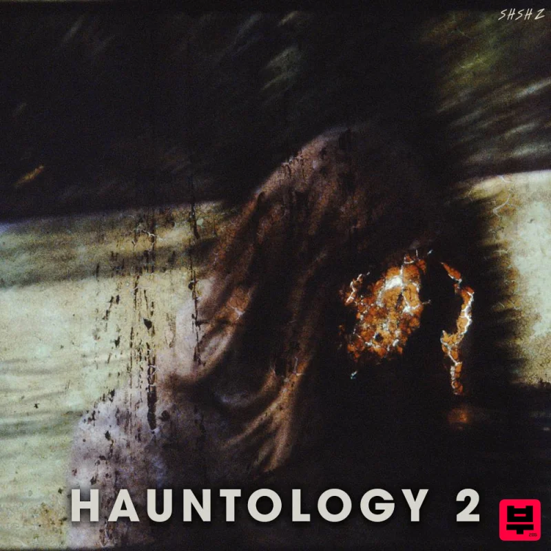 ShamanStems Hauntology 2 - Downtempo