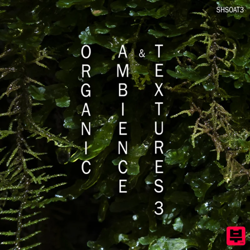 ShamanStems Organic Ambience and Textures 3 - Downtempo