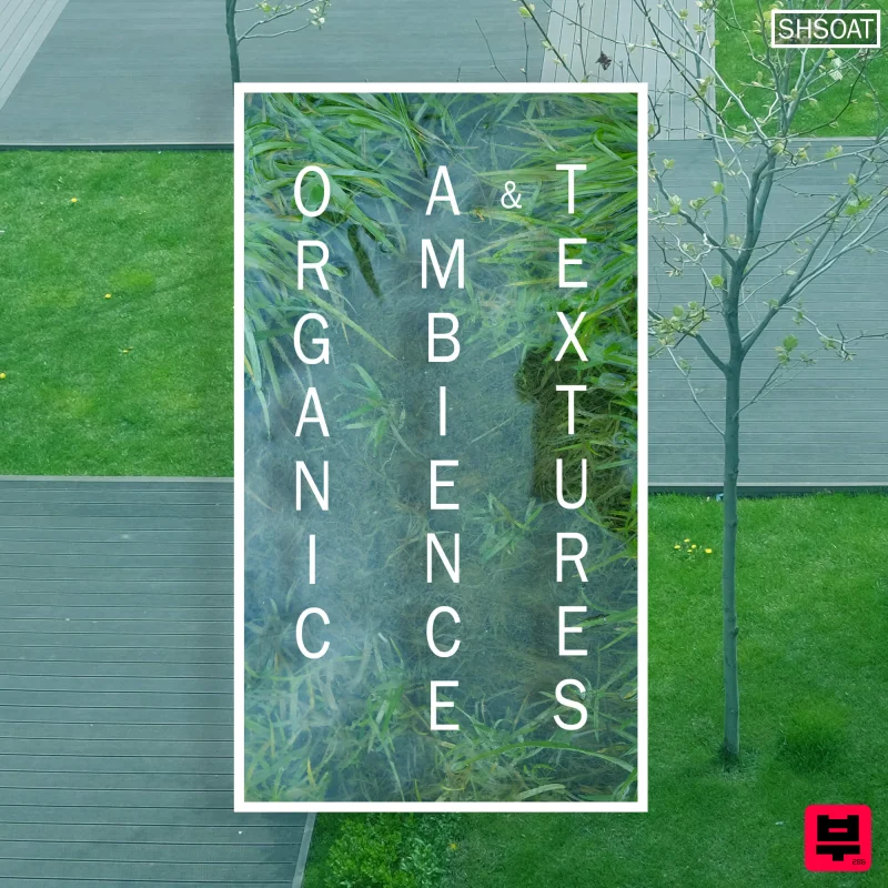 ShamanStems Organic Ambience & Textures - Professional Music Instrument Photo