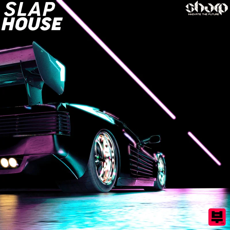 SHARP Slap House - Future House