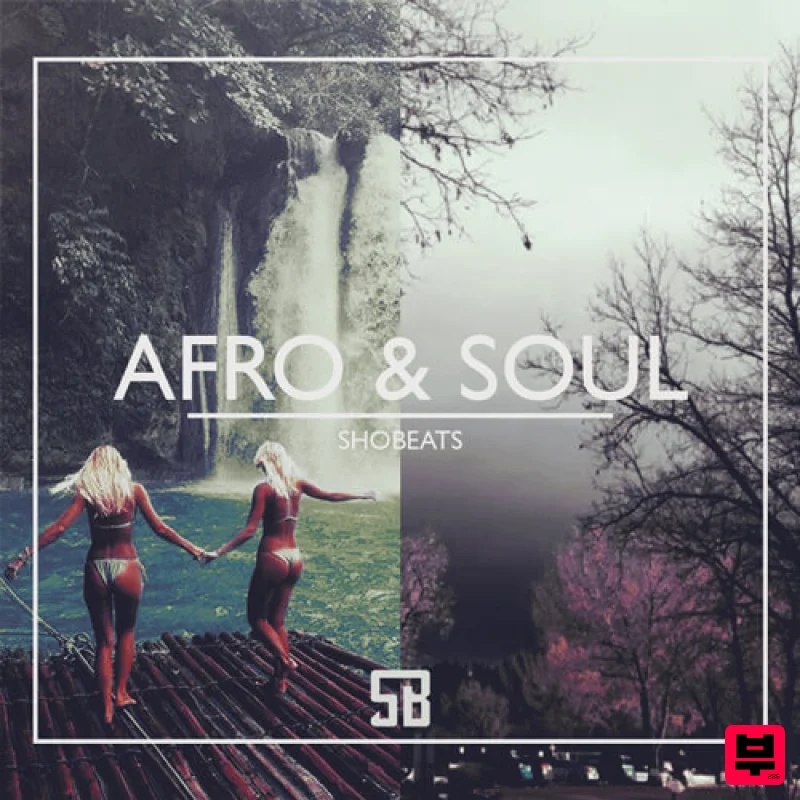 Shobeats AFRO & SOUL - Hip Hop