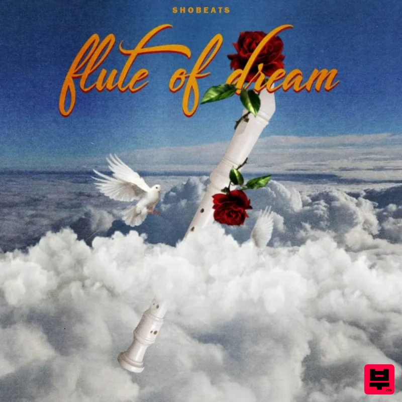 Shobeats Flute of Dream - Professional Music Instrument Photo