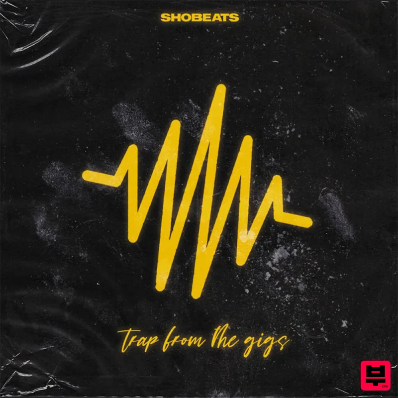 Shobeats Trap From the Gigs - Professional Music Instrument Photo