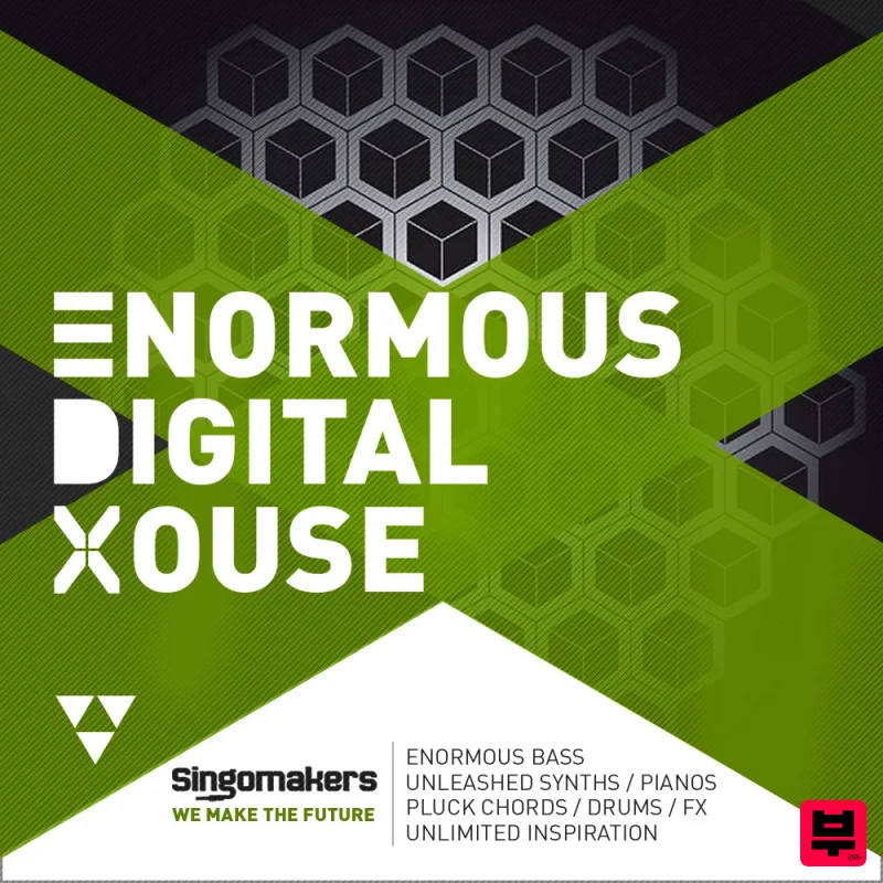 Singomakers Enormous Digital House - House