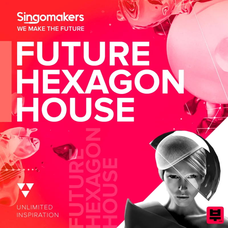 Singomakers Future Hexagon House - EDM