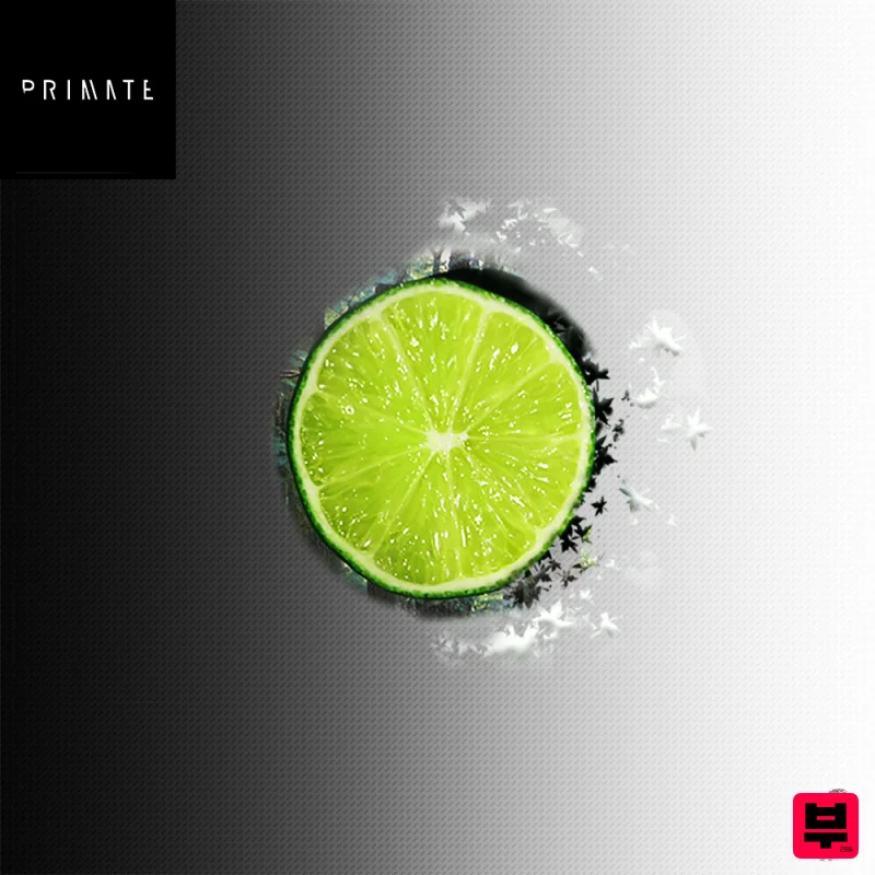 SmallPrint Ingredients Primate - Citrus - Bass Music