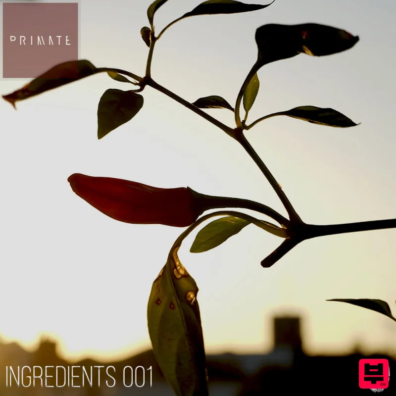SmallPrint Ingredients SmallPrint Ingredients 001 - Primate - Bass Music