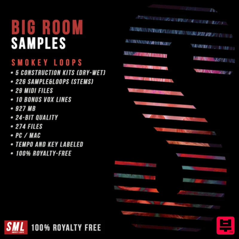 Smokey Loops Big Room Samples - Professional Music Instrument Photo