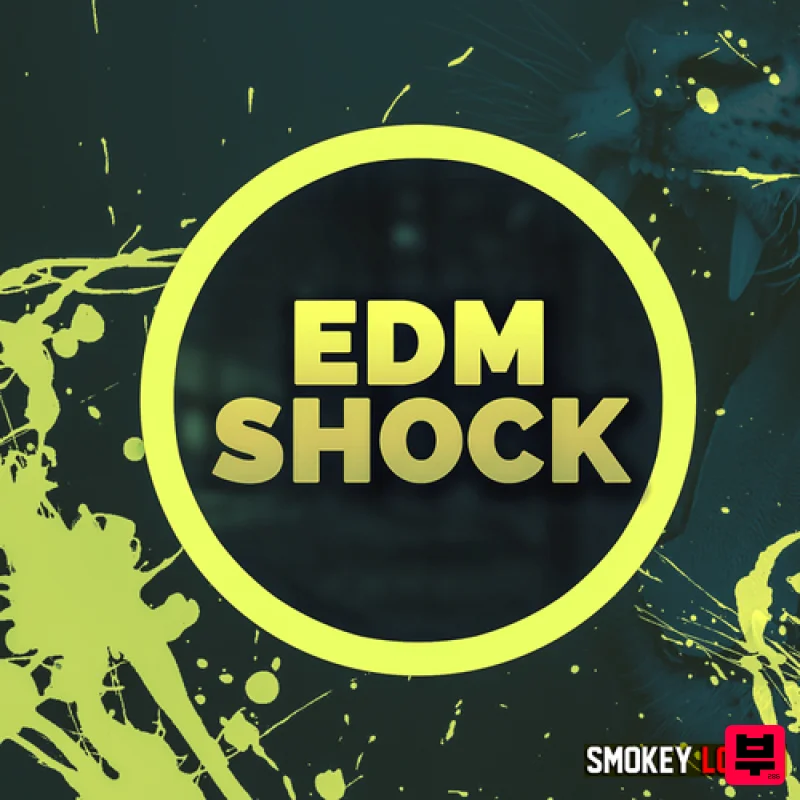 Smokey Loops EDM Shock - Professional Music Instrument Photo