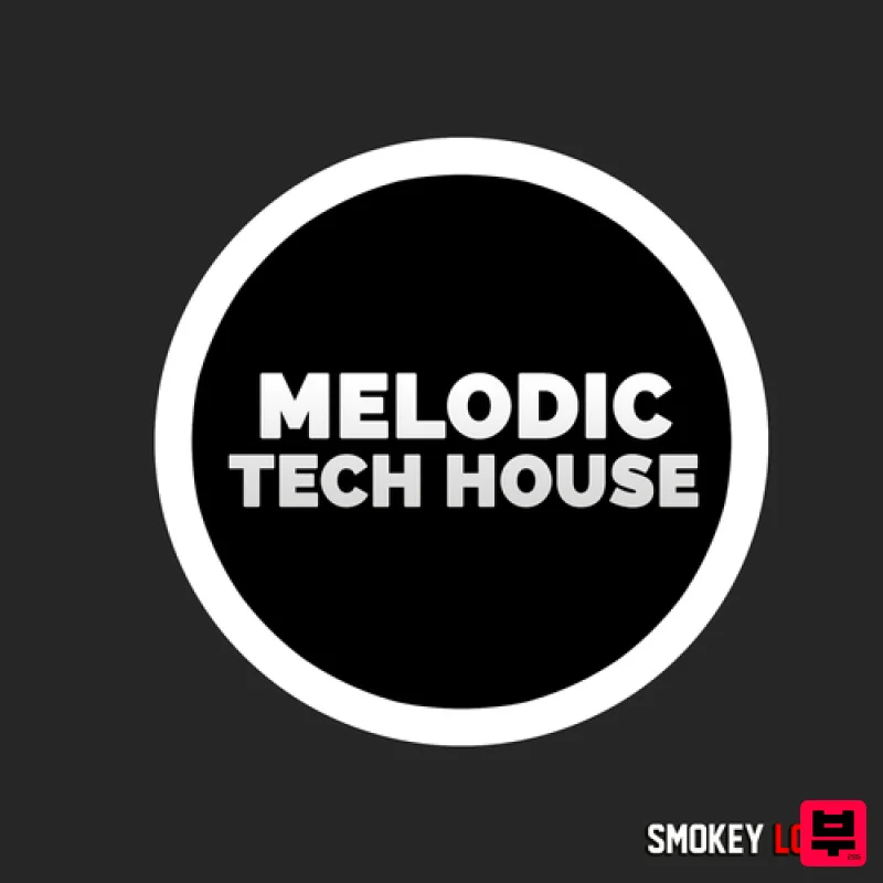 Smokey Loops Melodic Tech House - Professional Music Instrument Photo