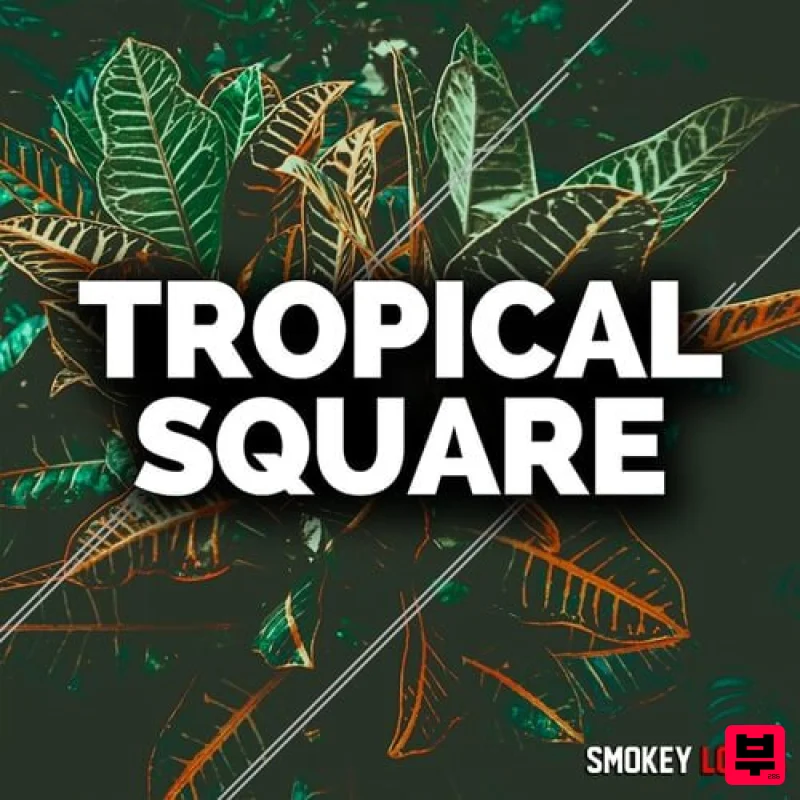 Smokey Loops Tropical Square - Tropical House