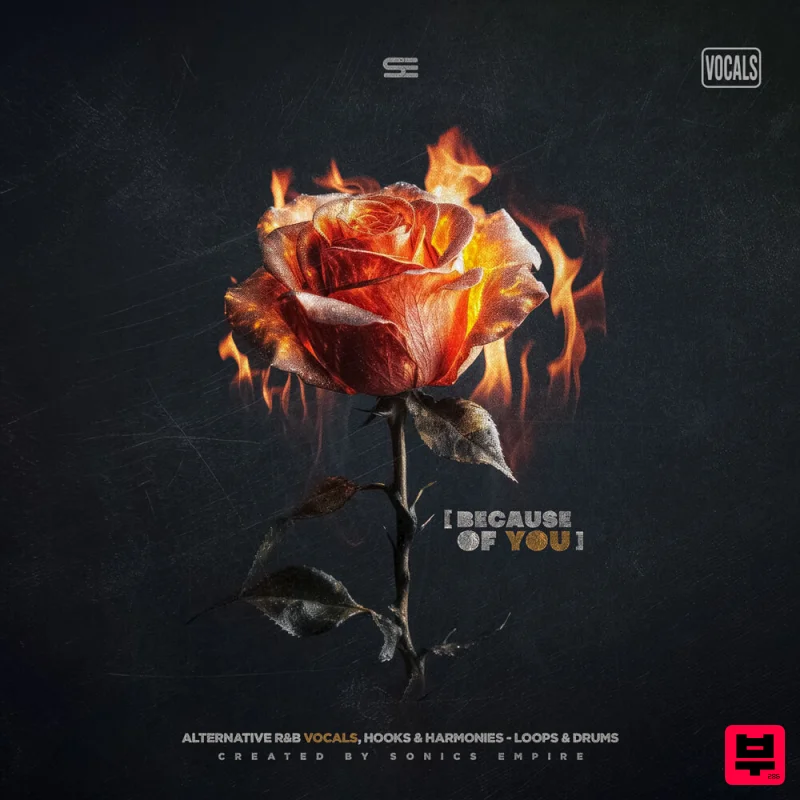 Sonics Empire Because of You: Alt R&B Vocals - R&B