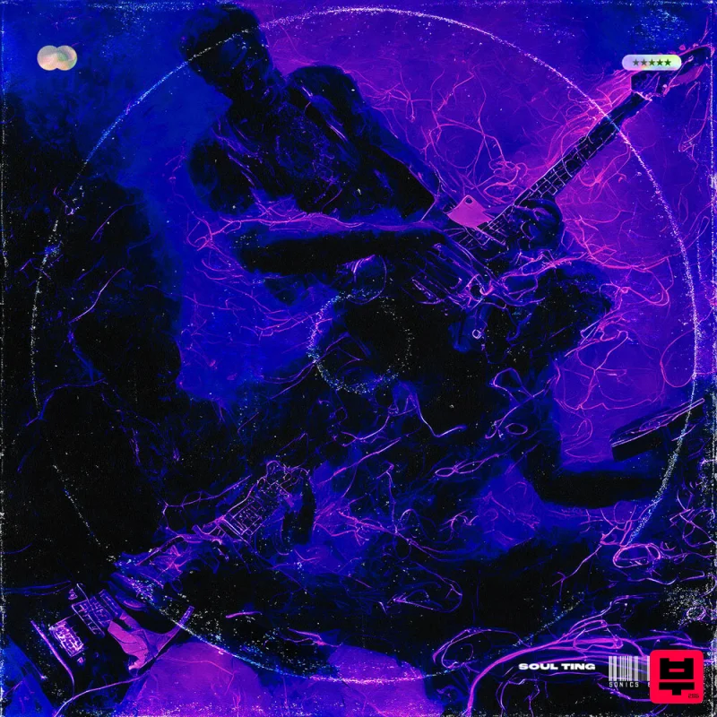 Sonics Empire Soul Ting - Professional Music Instrument Photo