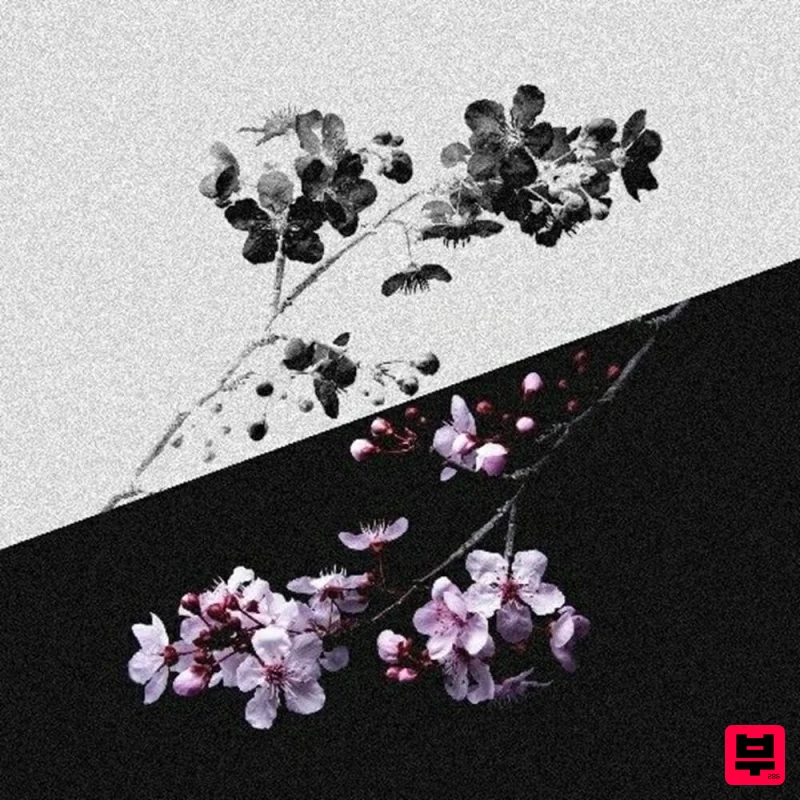 sorrow bringer Gloomy Vibes Vol. 7 – Dark Emotional Melody Loops - Trap