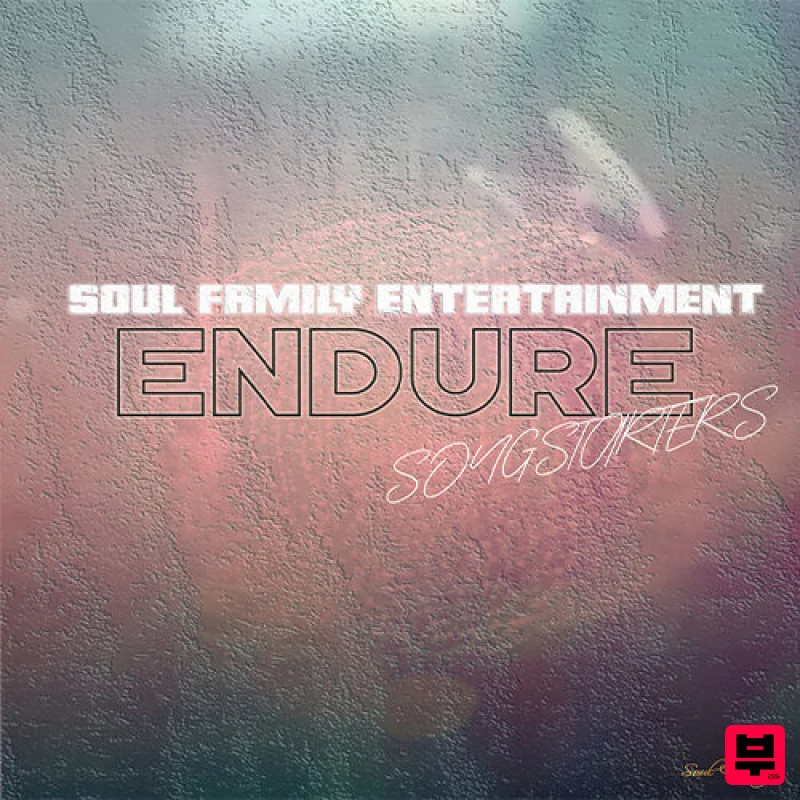 Soul Family Entertainment Endure Songstarters - Pop