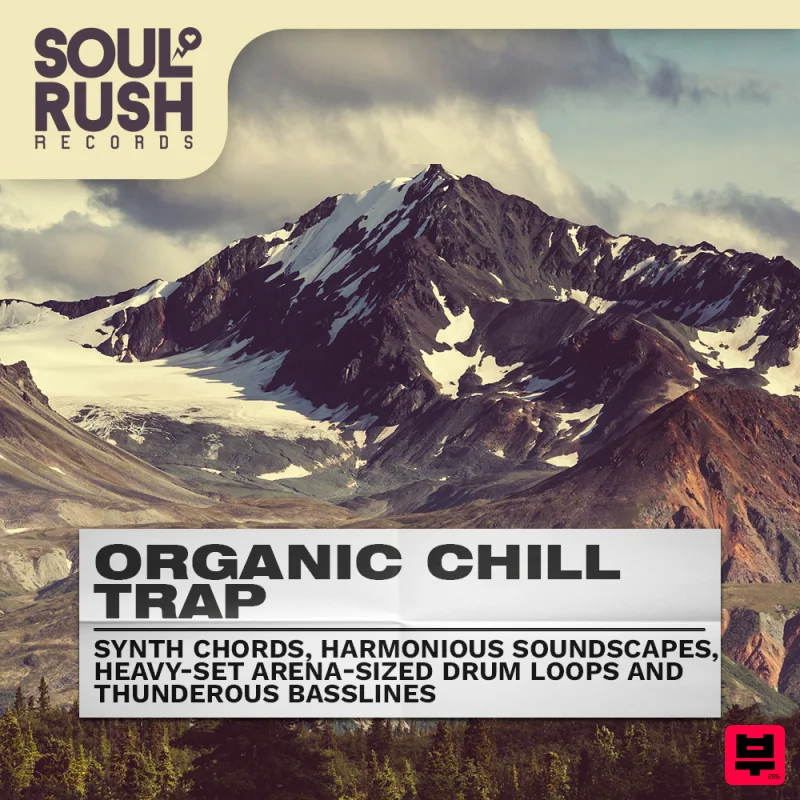 Soul Rush Records Organic Chill Trap - Professional Music Instrument Photo