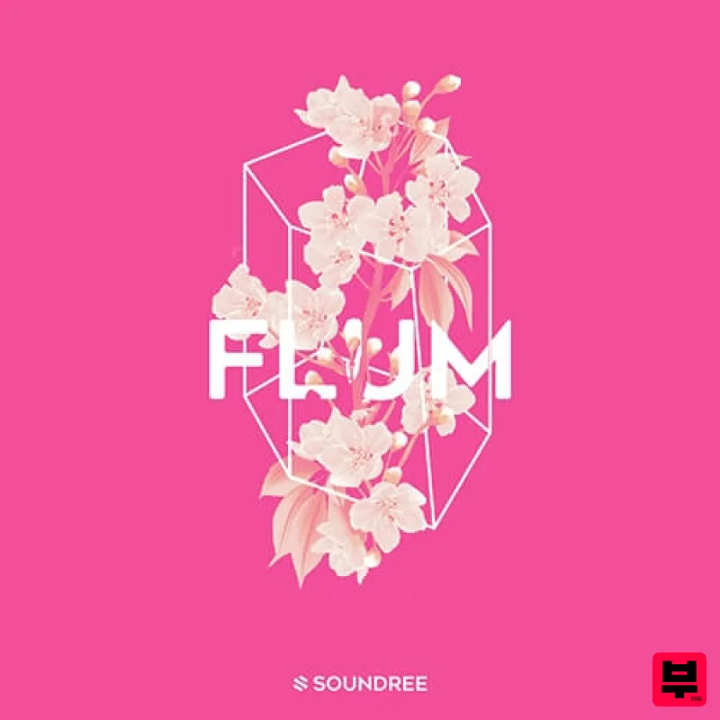 Soundree FLUM - Future Bass