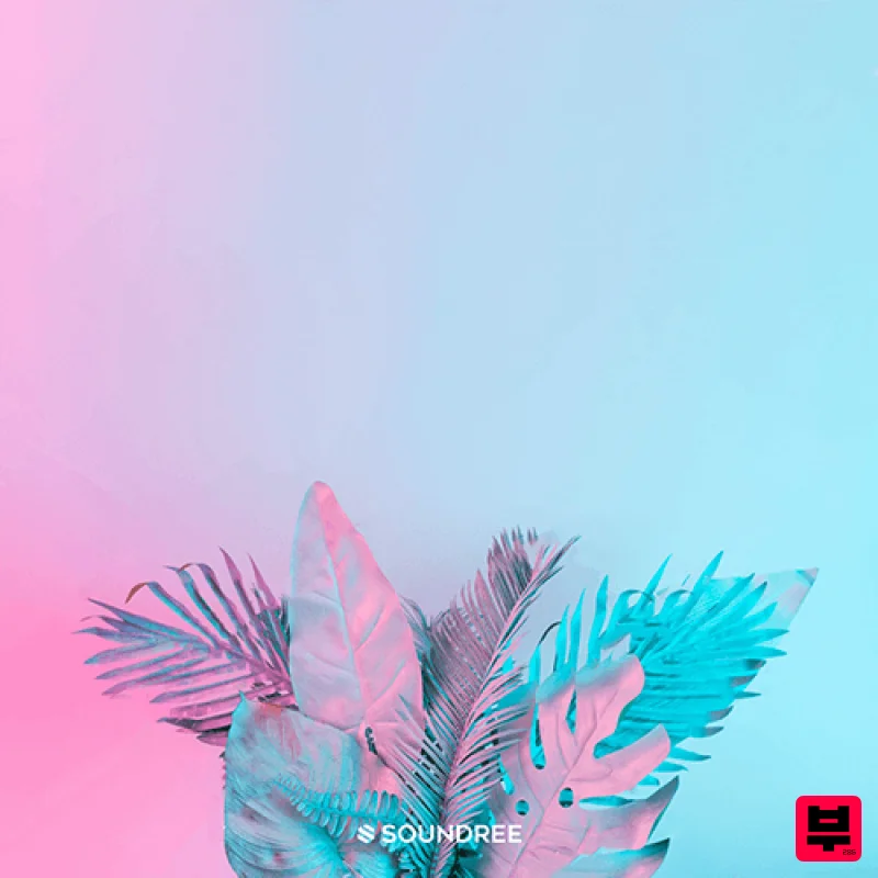 Soundree LOYAL - Electronica