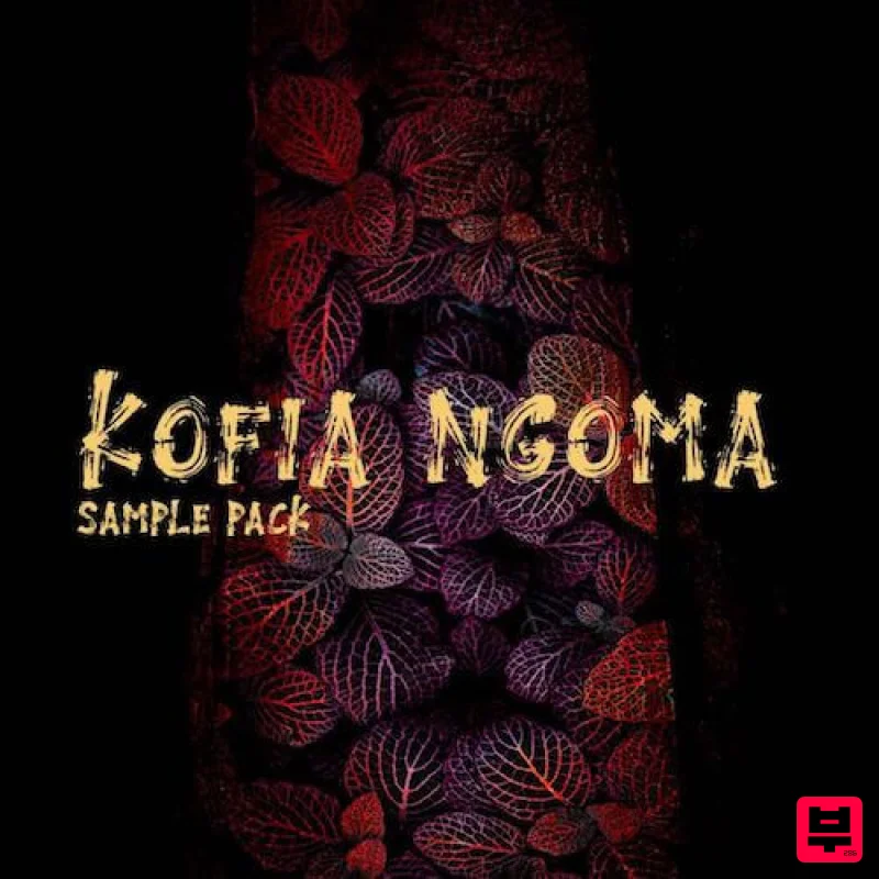T-KID The Producer KOFIA NGOMA - AFROPIANO SAMPLE PACK - Dancehall