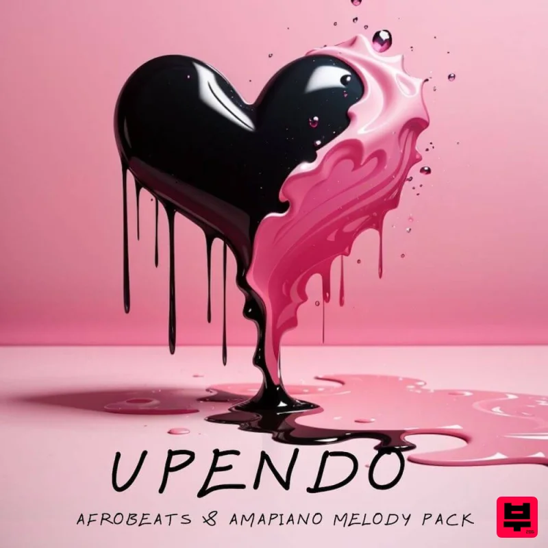 T-KID The Producer Upendo - AfroBeats & Amapiano - Professional Music Instrument Photo