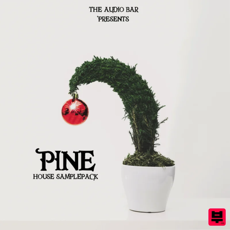 The Audio Bar Pine - House