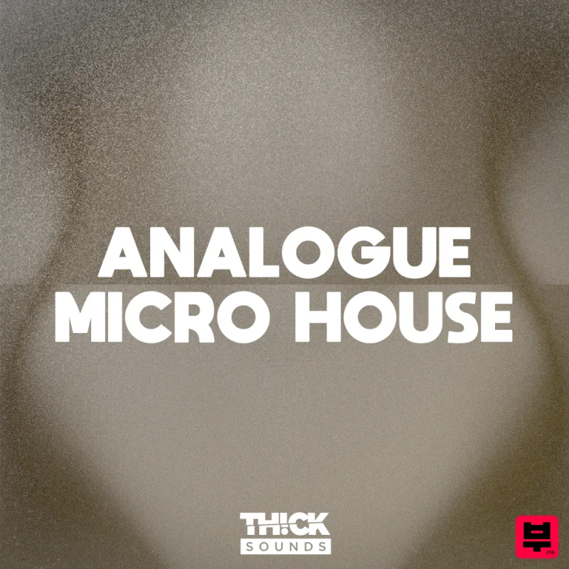 THICK Sounds Analogue Micro House - House