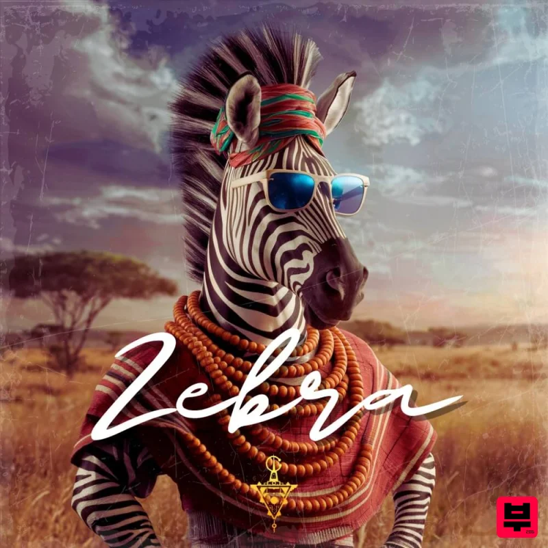 Thursday Zebra - Amapiano & Afrobeats Guitars - Professional Music Instrument Photo