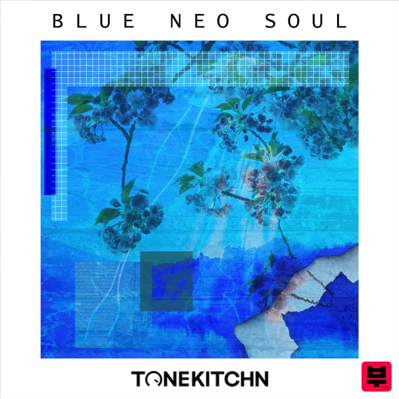 TONE KITCHN Blue Neo Soul - Neo Soul