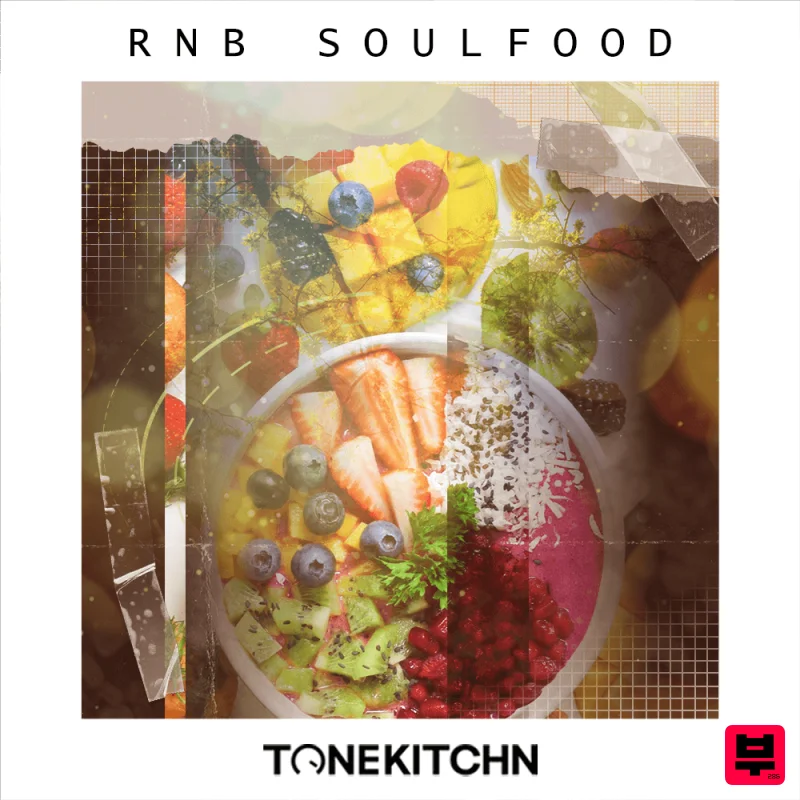 TONE KITCHN RnB Soulfood - Professional Music Instrument Photo