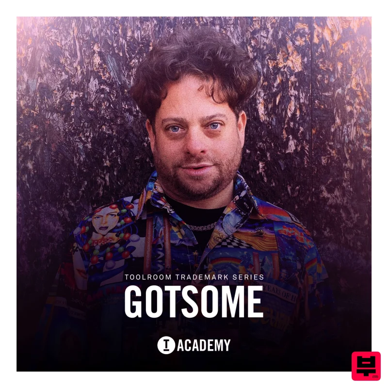Toolroom Toolroom Trademark Series - GotSome - House