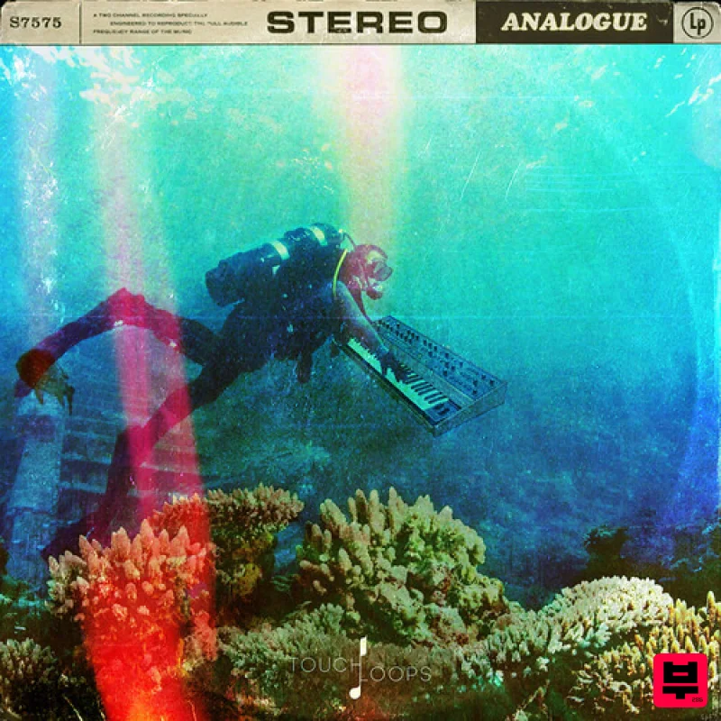 Touch Loops Analogue Odyssey - Analog